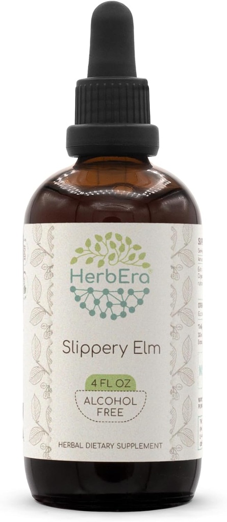 HerbEra Slippery Elm B120 Alcohol-Free Herbal Extract Tincture, Concentrated Liquid Drops Natural Slippery Elm (Ulmus Rubra) 4 fl oz