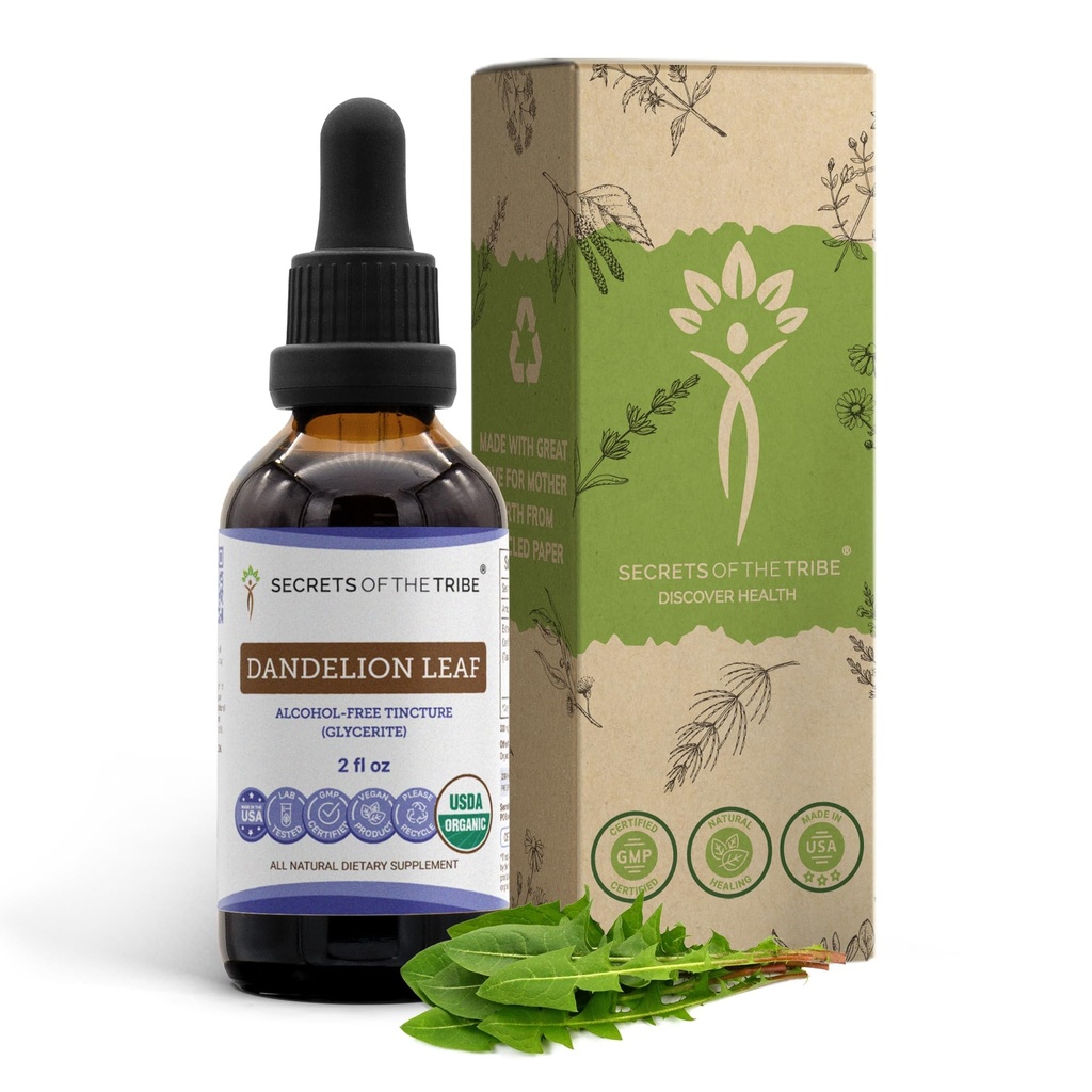 Secrets of the Tribe Dandelion Leaf USDA Organic | Alcohol-Free Extract, High-Potency Herbal Drops, Digestive System | Made from 100% Certified Organic Taraxacum Officinale Dried Leaf 2 oz