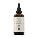 HerbEra Shatavari B120 USDA Organic Tincture | Alcohol-Free Extract, High-Potency Herbal Drops | Certified Organic Shatavari (Asparagus racemosus) Dried Root (4 oz)