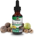 Nature's Answer, Black Walnut, Alcohol-Free, 2000 mg, 1 fl oz (30 ml) - 3PC