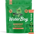 Waterboy Workout Hydration | 2,960mg Sugar Free Electrolyte Powder Packets | L-Glutamine + Vitamins | No Sugar, All Natural, Gluten Free | 15 Drink Stick Mixes (Fruit Punch)