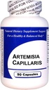 Artemisia Capillaris (90 Capsules)-Concentrated Herbal Extract - Dietary Supplement