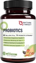 Probiotics for Women, Men and Kids, 60 Billion Probiotic for Digestive Health -14 Strains, Prebiotics and Probiotics for Gut Health & Immune Support, Gluten Free, Non-GMO, 90 Tablets