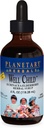 Planetary Herbals Echinacea-Elderberry Syrup , 4 fl oz (128.28 ml)