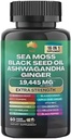 Muse Sea Moss, Black Seed Oil, Ashwagandha, Ginger, Shilajit, Elderberry, Chlorophyll, Turmeric, Bladderwrack, Advanced Strength Gummies, 19,445mg, All-in-1 Bundle, 60 Count, Made in USA