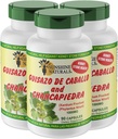 Sunshine Naturals Guisazo & Chancapiedra Herbal Blend, Natural Dietary Supplement for Wellness Support, 90 Capsules. Pack of 3
