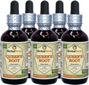 Queen's Root (Stillingia Sylvatica) Tincture, Dried Roots Liquid Extract (Brand Name: HerbalTerra, Proudly Made in USA) 5x2 fl.oz (5x60 ml)