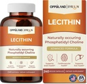 Lecithin-240 Softgels-Supports Brain Health