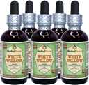 White Willow (Salix Alba) Glycerite, Organic Dried Bark Alcohol-FREE Liquid Extract (Brand name: HerbalTerra, Proudly made in USA) 5x2 fl.oz (5x60 ml)