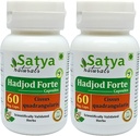 Hadjod Forte Capsules 500 mg. 60 Veg. Capsule | Hadjod (Cissus Quadrangularis) Extract Capsules for Men and women | Ayurvedic Herbal Supplement/Remedies | 10:1 Forte (2 Bottles of 60 Capsules)