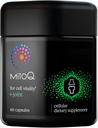 MitoQ +Joint Advanced CoQ10 Antioxidant Supplement - Contains Mitoquinol Mesylate & Green Lipped Mussel Omega Oil Extract - Supports Healthy Joint, Mobility and Cell Vitality (60 Softgel Capsules)