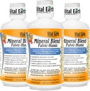 Vital Earth Minerals Fulvic Humic Mineral Blend Liquid 3-Pack – Fulvic Acid Supplement with 70+ Trace Minerals, Electrolytes for Recovery, Balance & Energy, 32 Oz Ea + 1 Oz Cup Ea