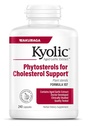 Kyolic Aged Garlic Extract Formula 107, Phytosterols for Cholesterol Support*, 240 Capsules