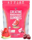 SteelFit Creapure Creatine Monohydrate Gummies for Men & Women, Juicy Watermelon - Gym Workout Nutritional Supplements for Muscle Gain, Brain Health & Strength Building Dietary Supplement, 120 Gummies