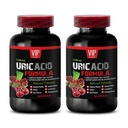Uric Acid with Natural Herbs - URIC Acid Formula - Green Coffee Bean for Uric Acid, Uric Acid Purge Formula, Uric Acid and, Uric Acid Crystal Dissolver, Devil’s Claw Root for Uric Acid 2 Bottle