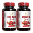 Pomegranate and Turmeric in URIC Acid Formula - Premium uric Acid Support Supplement, Natural Solutions for Uric Acid Control - 2 Bottles