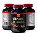 Uric Acid with Natural Herbs - URIC Acid Formula - Devil’s Claw for Uric Acid, Uric Acid Crystal Dissolver, Pomegranate and Uric Acid Support, Uric Acid Reducing Ingredients, Green Coffee Bean 1 Bot