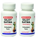 Baidyanath Asli Ayurved Giloy Satwa, 40 gm - (Pack of 2)