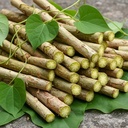 Neem Giloy Stick (370 Gram) Organic Guduchi Gulvel Amrita 36 Handpicked Stems 100% Natural Lakdi From Neem Tree