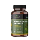 Natural Wheat Grass Capsules (60 Capsules, 1000mg) - Natural Antioxidant Superfood, Supports Healthy Joints, Immunity Booster, Non-GMO, Vegan