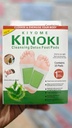 REPLEX Kinoki 10 Detox Foot Pads – Green Tea Herbal Adhesive Patches for Natural Body Cleansing, Foot Care, Stress Relief, Relaxation & Pain Support