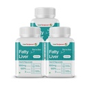 Fatty Liver ayurvedic Supplement -650mg herbs extract per servings liver care, Anti-inflammatory, Gut Health, Body Detox (Pack of 3)