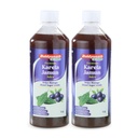 Baidyanath Premium Karela Jamun Juice - 1L (Pack of 2) | Supports Healthy Blood Sugar Levels Naturally |