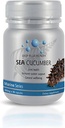 Deep Blue Health New Zealand SEA Cucumber 90 Capsules