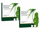 Japanese Herbal Balance Patch | Mugwort Botanical Navel Pads | Plant Based Wellness Stickers | Natural Adhesive Belly Care Application for Men Women | Comfortable Daily Use | Easy Peel Formula | Pack of 5 (10)