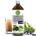 Neem Karela Jamun Juice | Herbal Juice with No Added Sugar | Natural Bitter Blend | Ayurvedic Daily Wellness Drink (2 Litre)