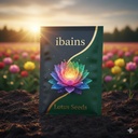 Red color lotus seeds || 10 seeds