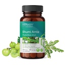 Merlion Naturals Bhumi Amla Tablets, Phyllanthus niruri, 500mg (120 Tablets)