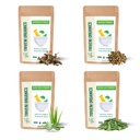 Triveni Organics Liver & Kidney Detox Combo 4×100g | Punarnava, Gokhru, Aloe Vera & Neem Leaf Powders | 100% Organic Ayurvedic Herbal Blend for Kidney Health, Liver Support, Detox & Vitality | Pure Herbal Supplements