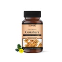 Gokshura/Tribulus Capsules | Processed using TTT-120 | 500 mg - 60 Capsules | Benefits include Better Strength, Stamina & Recovery | Ideal for Gym and Athletes