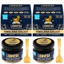 50g Original Himalayan Shilajit Resin(Certified Gold Grade) for Men, Gym, Stamina, Energy & Improved Health | 100% Pure Shilajit Liquid (2 X 25g = 50g (Pack of 2))