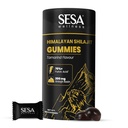 Sesa Himalayan Shilajit All Day Energy Gummies 60 Capsules | 200 mg Shilajit Resin| Lab Certified with 70%+ Fulvic Acid Boosts Stamina & Energy Levels| No Added Sugar | Gelatin & Gluten Free