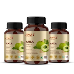 Jiva Amla Tablets 500mg 360 Tablet | 100% Pure Herbs Used, Rich In Vitamin C | Protects Against Free Radicals | Rich In Antioxidants | Improves Digestion | Enhances Vision -120 Tablet (Pack of 3)