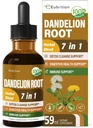 Dandelion Root Extract Drops, Diente de Leon Organico Hierba, Dandelion Supplement Formula w/Milk Thistle Turmeric for Detox Cleanse, Digestion & Immune Support, Alcohol-Free Tincture. 2oz
