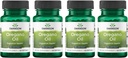 Swanson Oregano Oil 10:1 Extract - Natural Supplement Promoting Digestive Health & Respiratory Support - Supports Gastrointestinal System & Urinary Tract Health - (120 Softgels, 150mg Each) (4 Pack)
