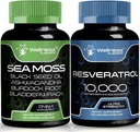 WELLNESS LABSRX Resveratrol Capsules with Sea Moss Capsules