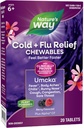 Nature's Way Cold+Flu Relief, Umcka, Shortens Duration and Reduces Severity, Multi-Symptom Relief, Homeopathic, Phenylephrine Free, Non-Drowsy, Berry Flavored, 20 Chewable Tablets (Packaging May Vary)
