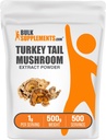 BulkSupplements.com Turkey Tail Mushroom Extract Powder - Coriolus Versicolor Extract, Mushroom Supplement - Vegan & Gluten Free, 1g per Serving, 500g (1.1 lbs) (Pack of 1)