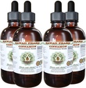 Cinnamon Alcohol-Free Liquid Extract, Cinnamon (Cinnamomum Verum) Dried Bark Glycerite Hawaii Pharm Natural Herbal Supplement 4x4 oz