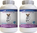 Anti Diarrhea Pills for Dogs - PROBIOTICS for Dogs - Healthy Gut - Stop Gas Diarrhea and Bad Breath - Digestive Boost - Dog probiotics Packets - 2 Bottles (120 Treats)