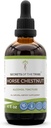 Secrets of the Tribe Horse Chestnut Alcohol Liquid Extract, Horse Chestnut (Aesculus hippocastanum) Dried Nut Tincture Supplement (4 FL OZ)