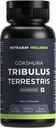 Wellness Tribulus Terrestries (Gokshura) - Natural Support for Energy, Performance & Stamina & Muscle Growth - 1000mg, 60 Veg Capsules