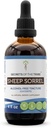 Sheep Sorrel Tincture Alcohol-Free Extract, Sheep Sorrel (Rumex Acetosella) Dried Herb Tincture Supplement 4 oz