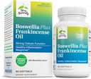 Terry Naturally Boswellia Plus Frankincense Oil - Joint Support Supplement to Support Mobility & Joint Comfort - Support Cellular Health with Boswellia & Frankincense Oil - 60 Softgels