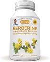 ANDREW LESSMAN Berberine Phospholipid Complex 120 Capsules - Barberry Root Extract. Small Easy to Swallow Capsules