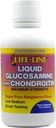 Nature's Blend Glucosamine w/Chondroitin Max Strength, Raspberry, 16 oz.